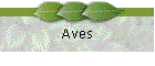 Aves