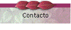 Contacto