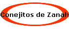 Conejitos de Zanahoria